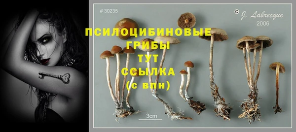 метамфетамин Аркадак