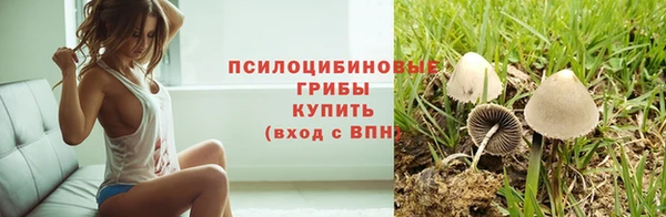а пвп мука Алзамай